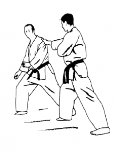 Bild Wado Ryu
