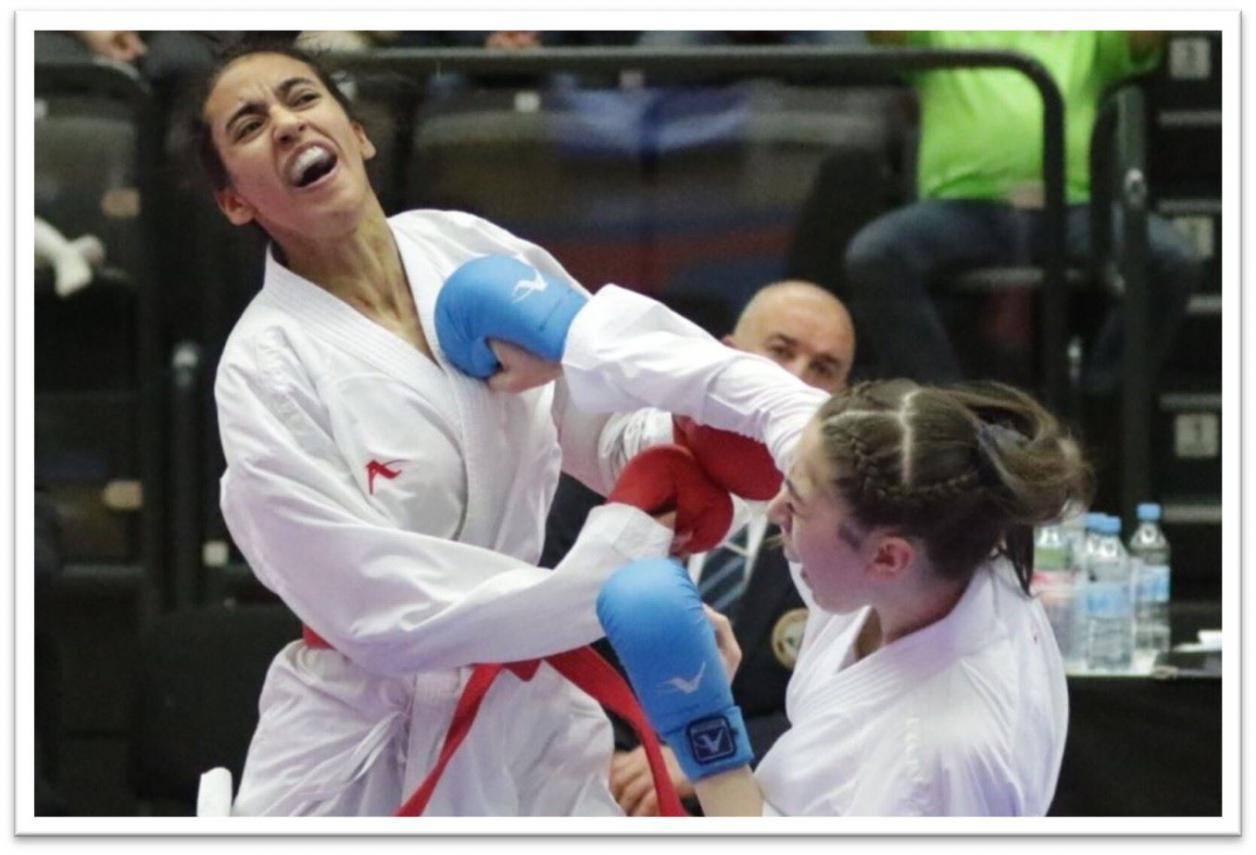 Karate Bundesliga